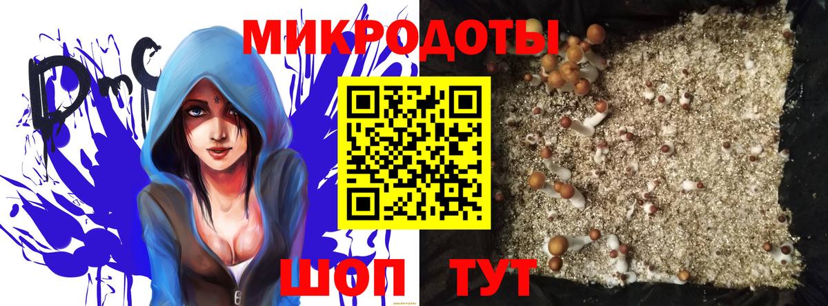Псилоцибиновые грибы мицелий  Вход с VPN  Шали 